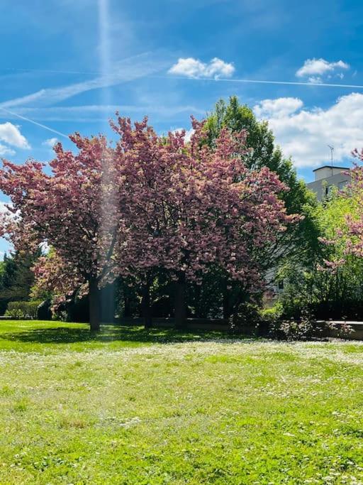 Studio Situe A 5 Min Du Chateau De Versailles Et Stationnement Gratuit Zewnętrze zdjęcie